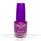 29-Palatinate Purple