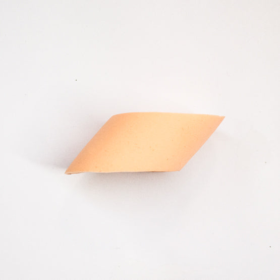 Ellipse Blender Sponge